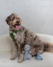 Dexypaws Plush Sloth Dog Toy