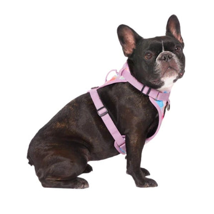 Canada Pooch Dog Harness