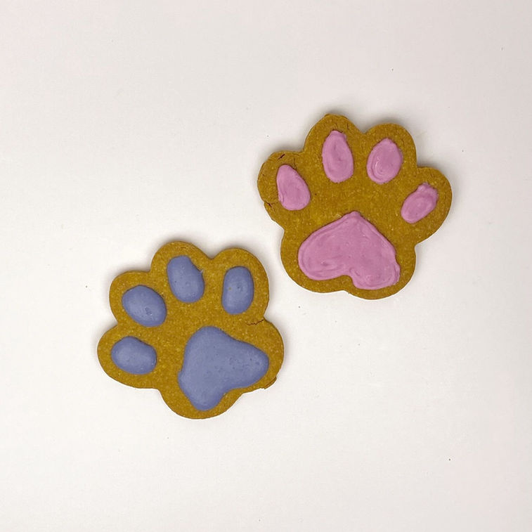 Mr. Mugs Bakery - Iced Dog Treats - Small