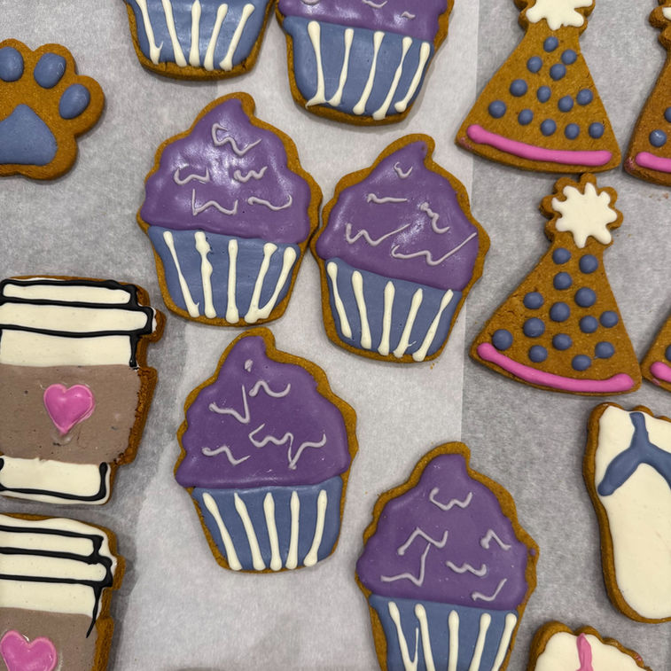 Mr. Mugs Bakery - Iced Dog Treats - Large
