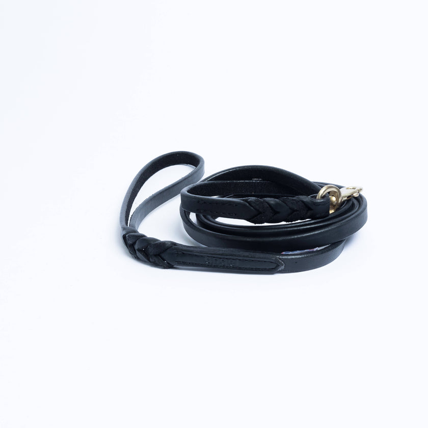 Angel Pet Supplies - Leather Braided Leash - 6ft, Black