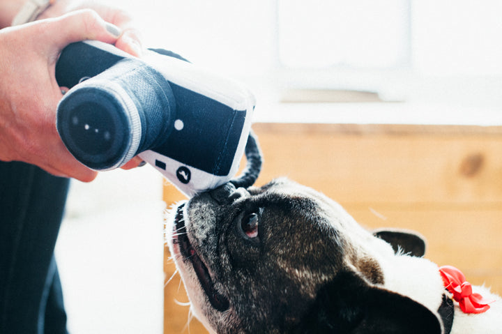 P.L.A.Y. Globetrotter Collection - Camera Dog Toy