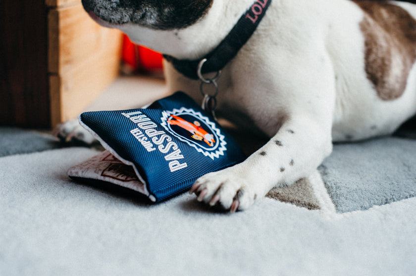 PET P.L.A.Y – Plush Toy Passport