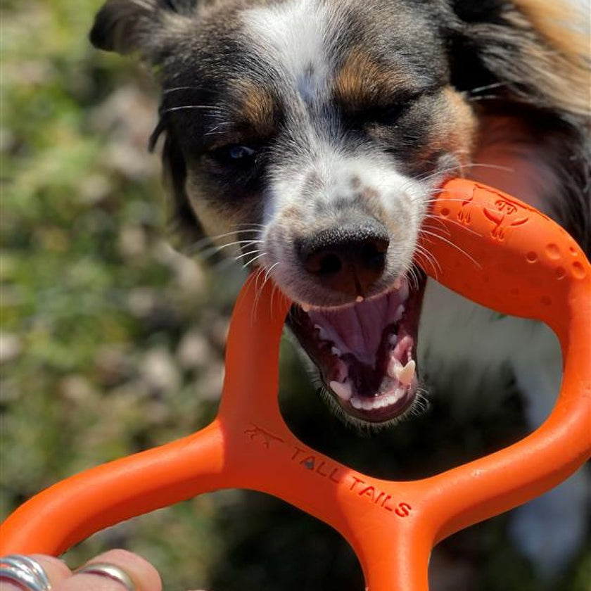 Rubber Tug Toy – 11″ – Orange