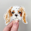 King Charles Spaniel Sticker
