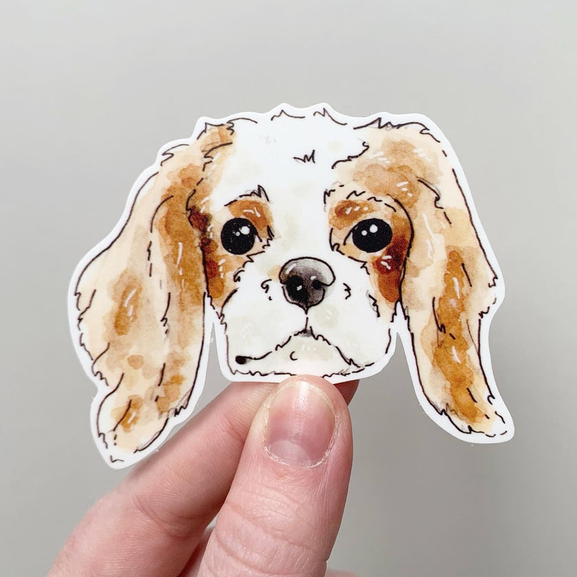King Charles Spaniel Sticker