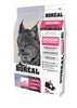 Boreal Functional Cat front view