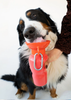 Springer 22oz Classic - Poppy Travel Bottle