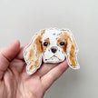 King Charles Spaniel Sticker