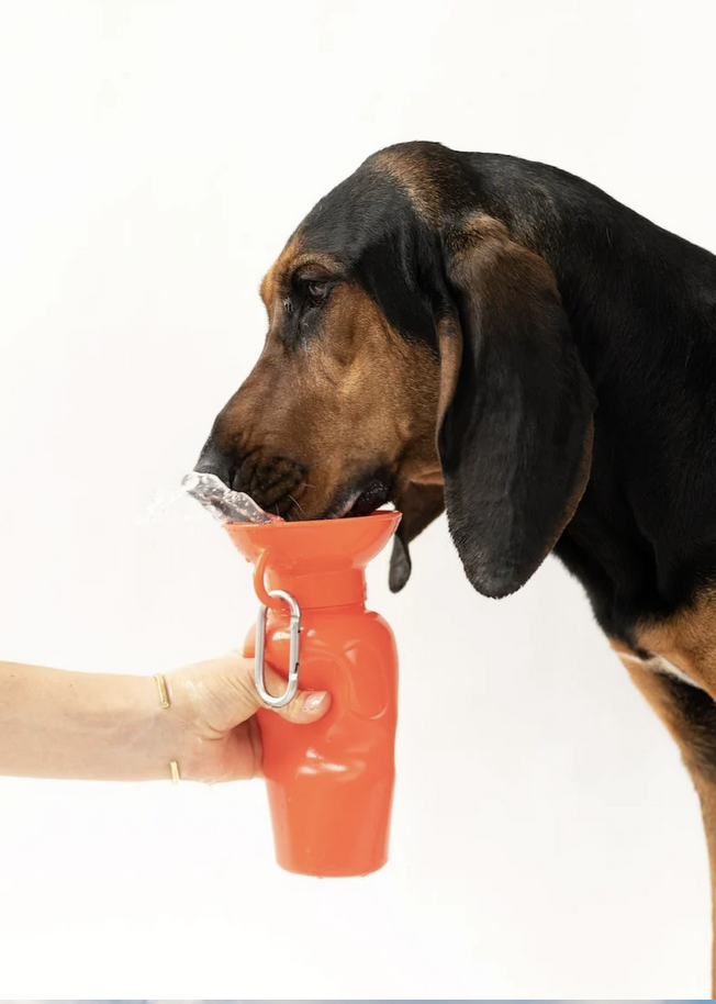 Springer 22oz Classic - Poppy Travel Bottle