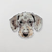 Dachshund Sticker