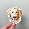 Golden Retriever Sticker
