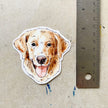 Golden Retriever Sticker
