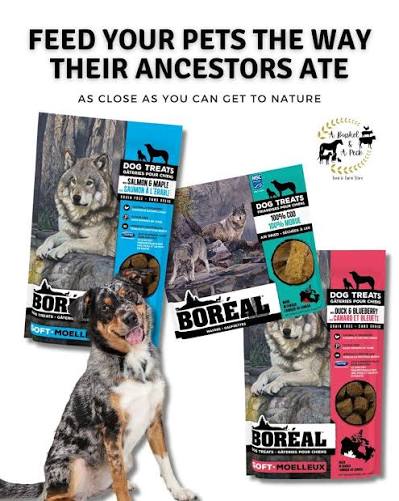 Boreal Dog Treats - Peanut Butter And Honey - 150g/5.29 oz