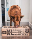 Big Country Raw - XL Bistro (30lbs)