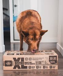 Big Country Raw - XL Bistro (30lbs)