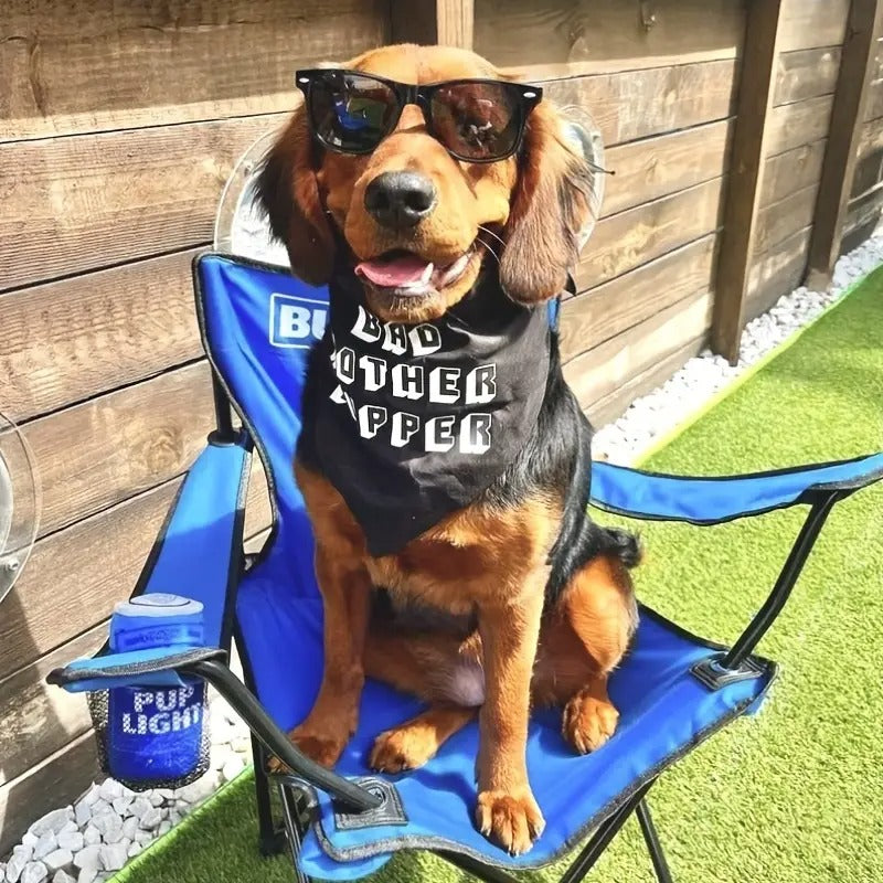 Bark & Beverage - Pet Light