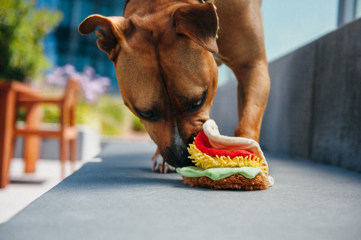 International Classic Tail Waggin' Taco Dog Toy