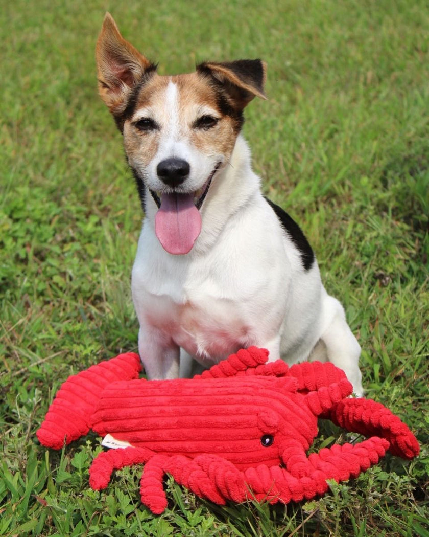 Tall Tails Lobster Plush  Crunch Toy – 14″
