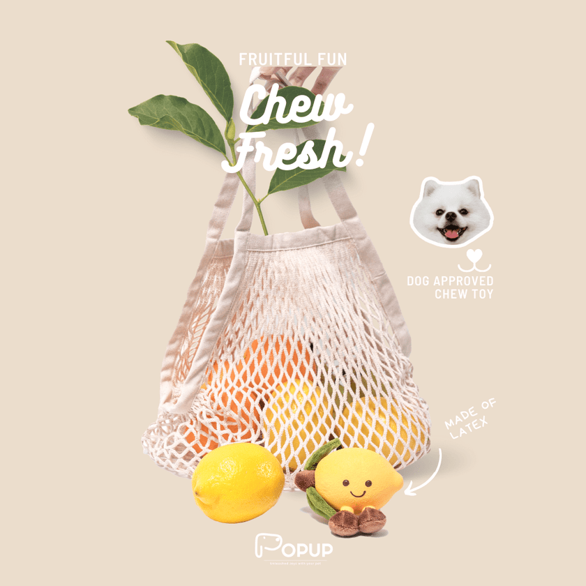 PoPupJoys - Fruity Fun Dog Chew Toy - Lemon