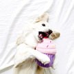 ZippyPaws Cupcake Dog Toy - Pink