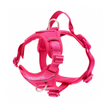 Momentum Harness