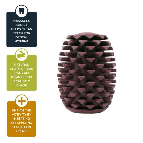 Natural Rubber Pinecone Toy - 4