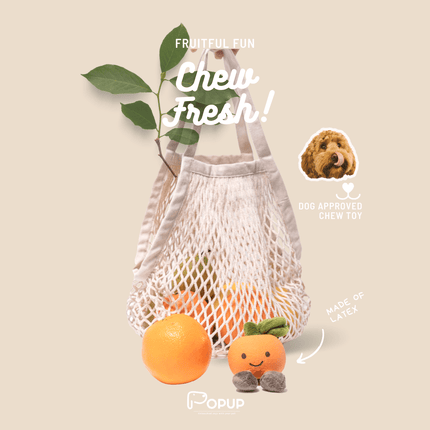 PoPupJoys - Fruity Fun Dog Chew Toy - Orange