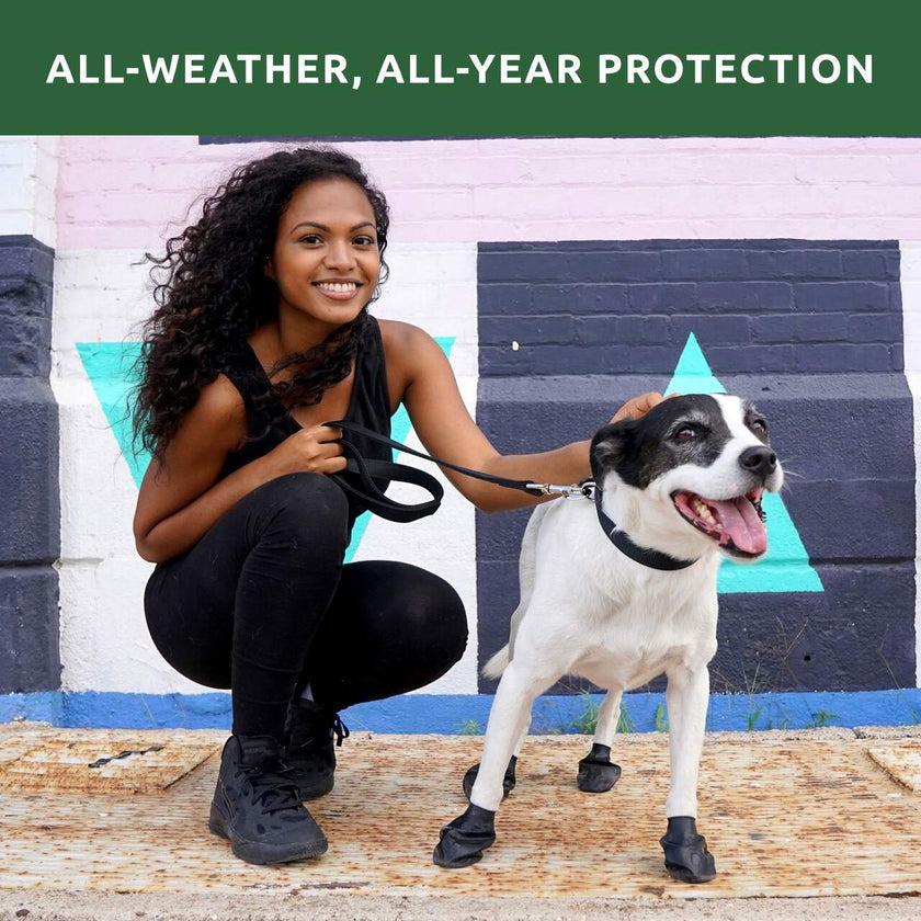 PawZ Rubber Dog Boots