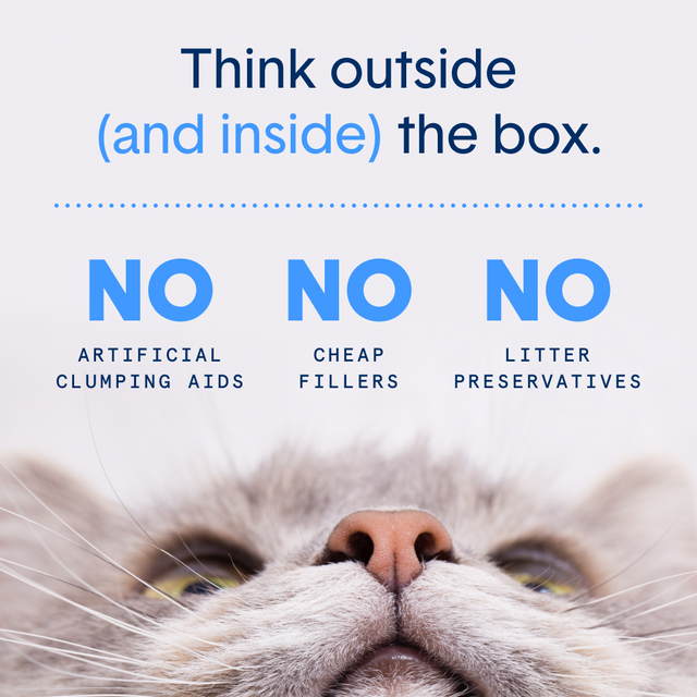 BoxieCat Glo Natural Attractions Crystal Litter 6lb