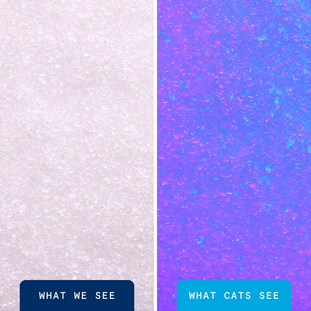 BoxieCat Glo Natural Attractions Crystal Litter 6lb