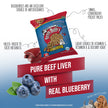 Benny Bully's Dog & Cat Treats - Mini Bits Mini Bag, Beef Liver & Blueberry Bites (18g)