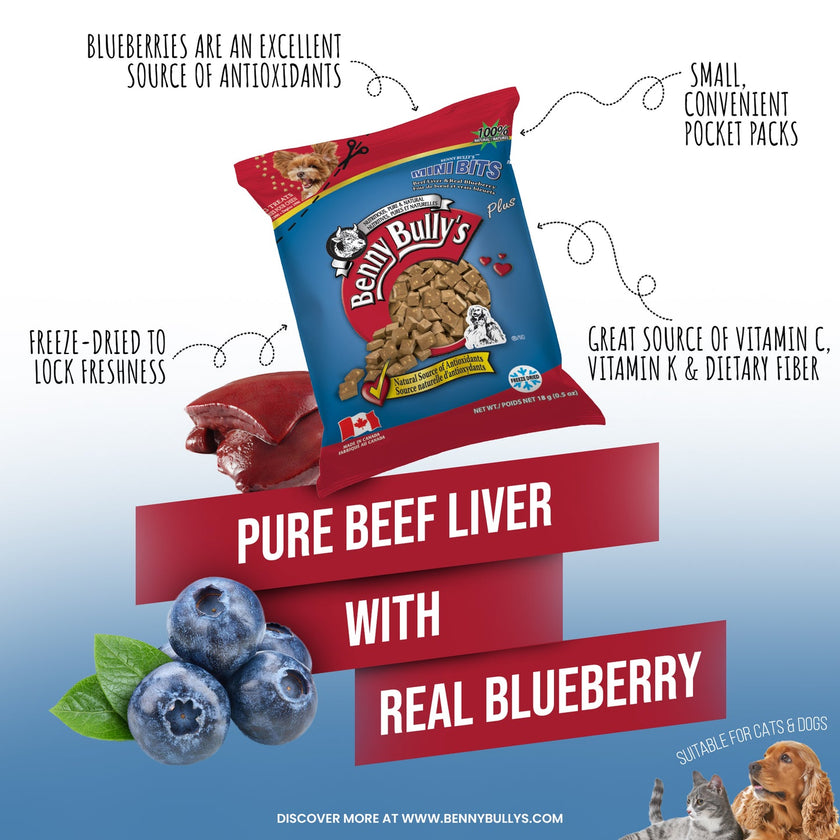 Benny Bully's Dog & Cat Treats - Mini Bits Mini Bag, Beef Liver & Blueberry Bites (18g)