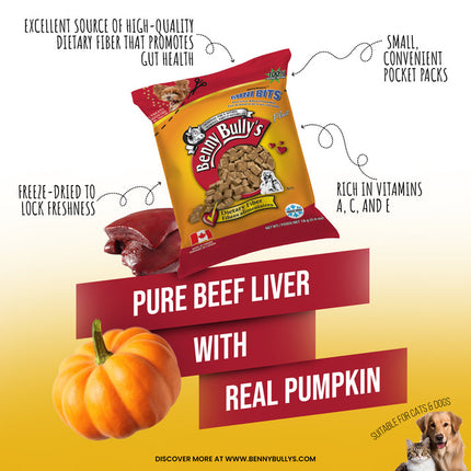 Benny Bully's Dog & Cat Treats - Mini Bits Mini Bag, Beef Liver & Pumpkin Bites (18g)