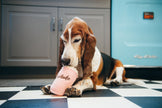PET P.L.A.Y. Classic Mutts Milkshake Toy - Medium