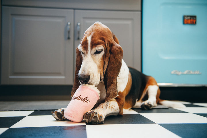 PET P.L.A.Y. Classic Mutts Milkshake Toy - Medium