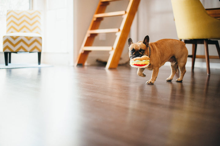 International Classic Tail Waggin' Taco Dog Toy