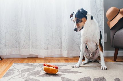 Pet P.L.A.Y. - Classic Hot Diggy Dog