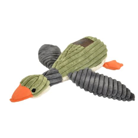 Squeaky Toys