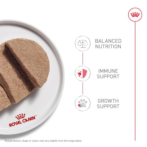 Royal Canin FHN Kitten Loaf in Sauce (85g/3oz)