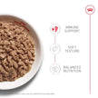 Royal Canin Feline Health Nutrition Kitten - Thin Slices in Gravy