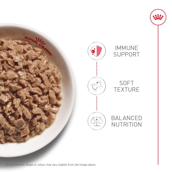 Royal Canin Feline Health Nutrition Kitten - Thin Slices in Gravy