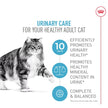 Royal Canin FCN Urinary Care (6lb)