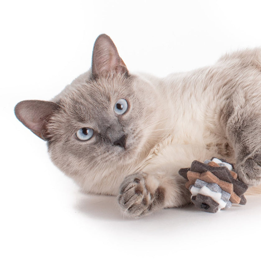 Hauspanther Stacks Cat Toys (2pk) - Neutral