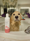 Purodora Lab Pet Shampoo & Skunk Odor Neutralizer, Apple Blossom 237ml