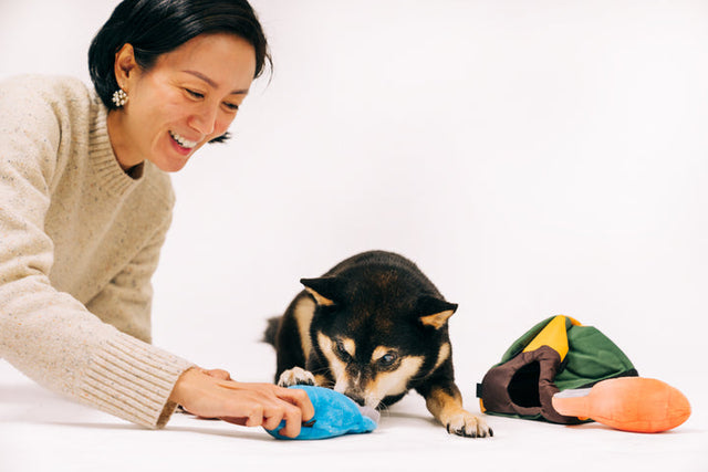 PET P.L.A.Y. – Camp Corbin Trailblazing Tent