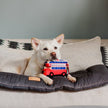 Pet P.L.A.Y - Plush Lickety Split Bus