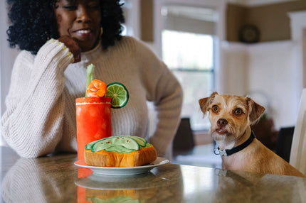 Barking Brunch Avo-doggo Toast & Buddy Mary