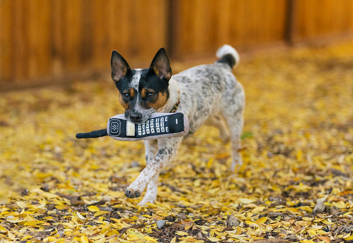 90s Cellphone Dog Toy 
