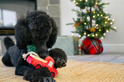 Home for the Holidays Holiday Hauler Dog Toy